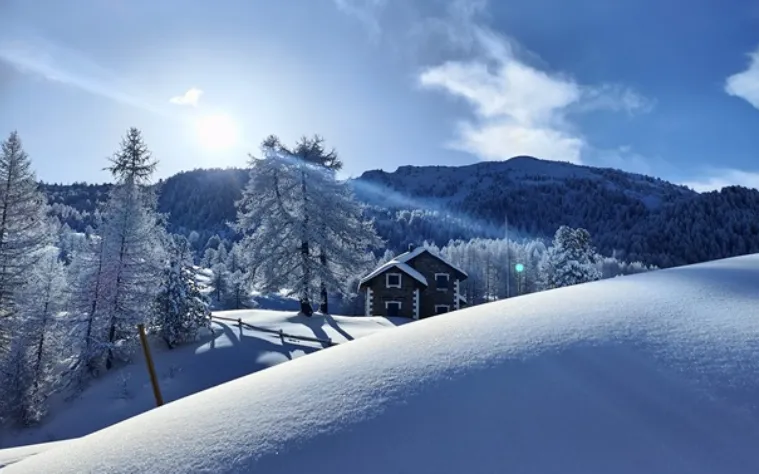 neve fresca