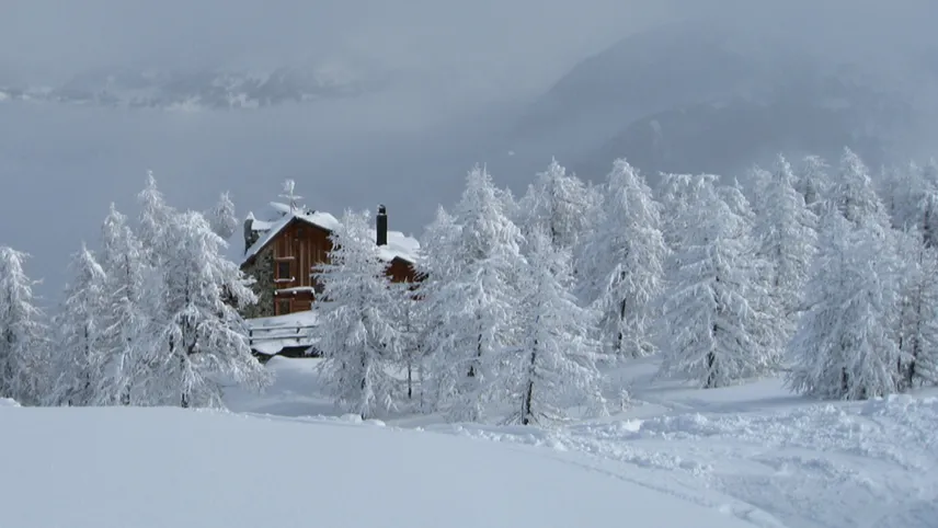 neve fresca