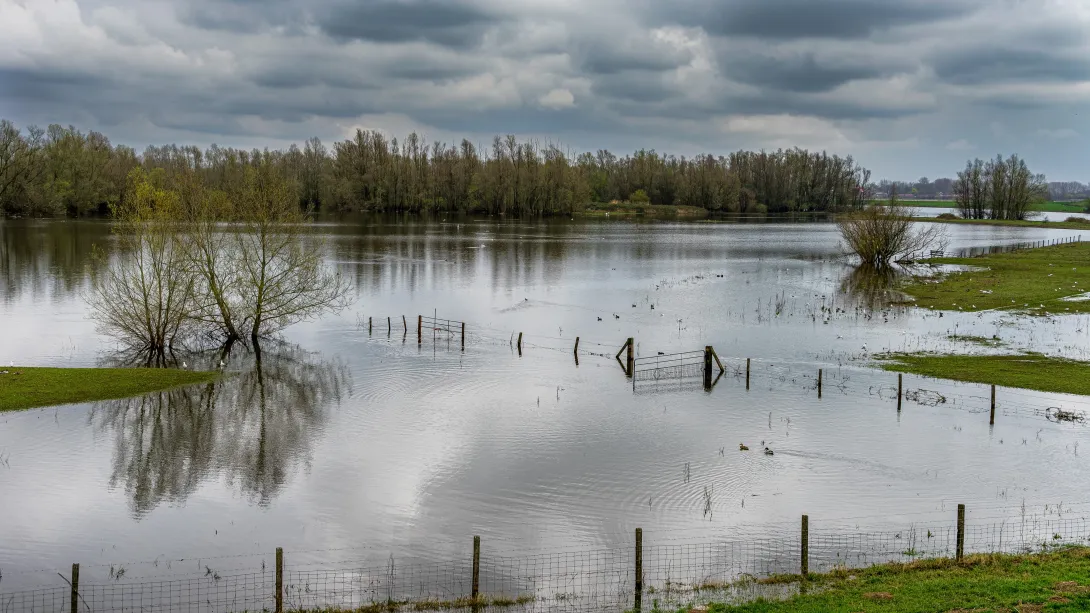 alluvione